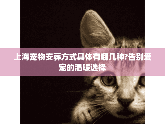 上海宠物安葬方式具体有哪几种?告别爱宠的温暖选择