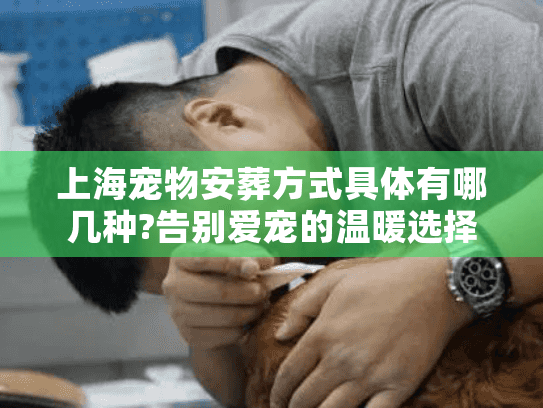 上海宠物安葬方式具体有哪几种?告别爱宠的温暖选择