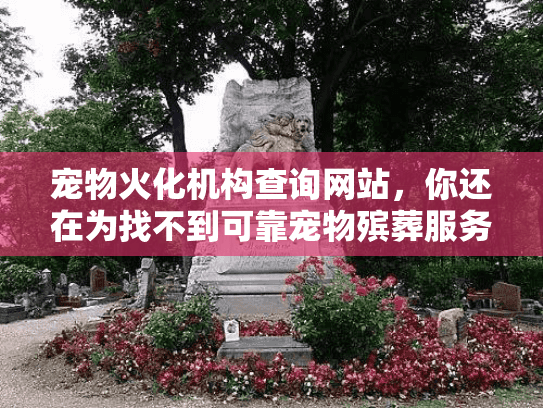 宠物火化机构查询网站，你还在为找不到可靠宠物殡葬服务焦虑吗？