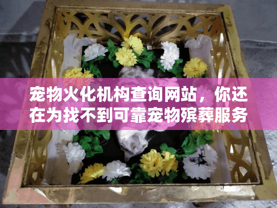 宠物火化机构查询网站，你还在为找不到可靠宠物殡葬服务焦虑吗？