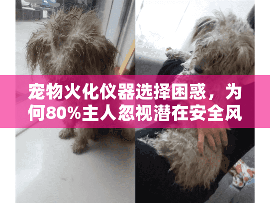 宠物火化仪器选择困惑，为何80%主人忽视潜在安全风险？