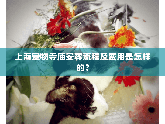 上海宠物寺庙安葬流程及费用是怎样的？