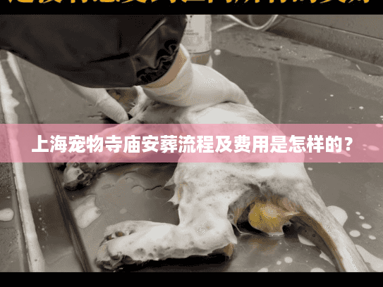 上海宠物寺庙安葬流程及费用是怎样的？