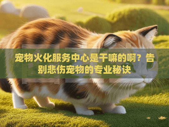 宠物火化服务中心是干嘛的啊？告别悲伤宠物的专业秘诀