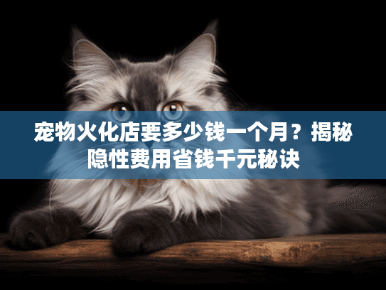 宠物火化店要多少钱一个月？揭秘隐性费用省钱千元秘诀