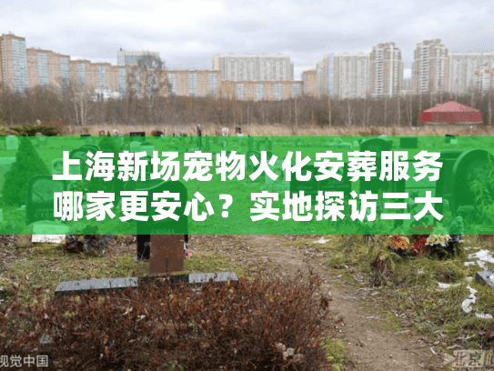 上海新场宠物火化安葬服务哪家更安心？实地探访三大选择要点