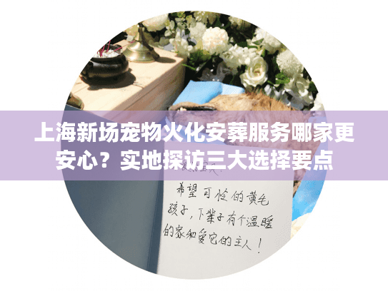 上海新场宠物火化安葬服务哪家更安心？实地探访三大选择要点