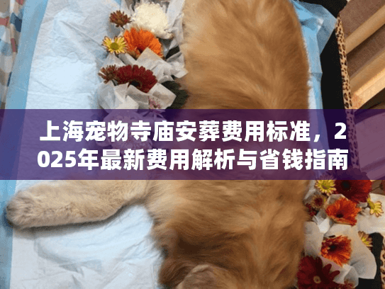 上海宠物寺庙安葬费用标准，2025年最新费用解析与省钱指南