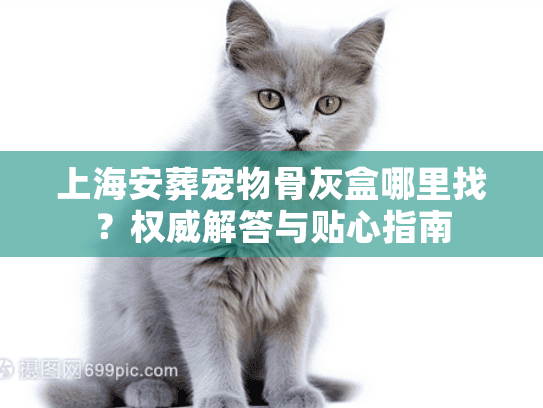 上海安葬宠物骨灰盒哪里找？权威解答与贴心指南