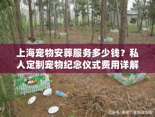上海宠物安葬服务多少钱？私人定制宠物纪念仪式费用详解