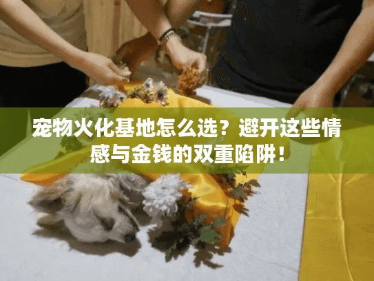 宠物火化基地怎么选?避开这些情感与金钱的双重陷阱! 宠物火化基地怎么选?避开这些情感与金钱的双重陷阱!