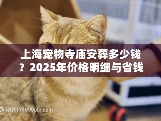 上海宠物寺庙安葬多少钱？2025年价格明细与省钱指南