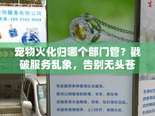 宠物火化归哪个部门管？戳破服务乱象，告别无头苍蝇式搜索