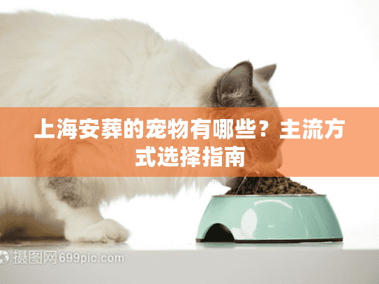 上海安葬的宠物有哪些？主流方式选择指南
