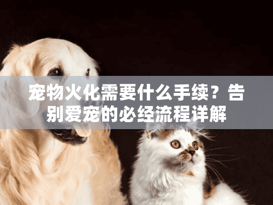 宠物火化需要什么手续？告别爱宠的必经流程详解