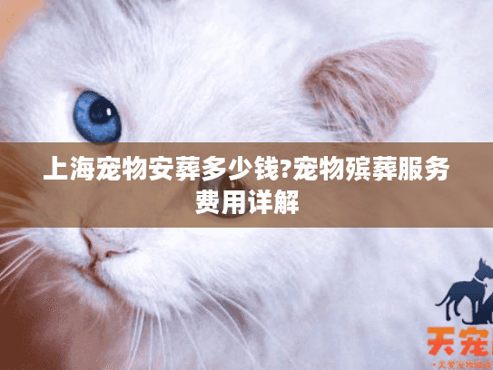 上海宠物安葬多少钱?宠物殡葬服务费用详解