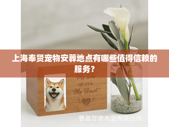 上海奉贤宠物安葬地点有哪些值得信赖的服务？