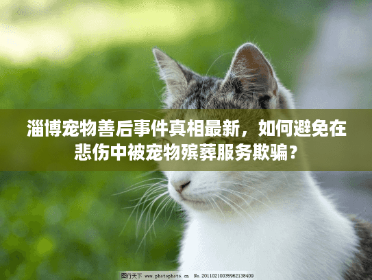 淄博宠物善后事件真相最新，如何避免在悲伤中被宠物殡葬服务欺骗？