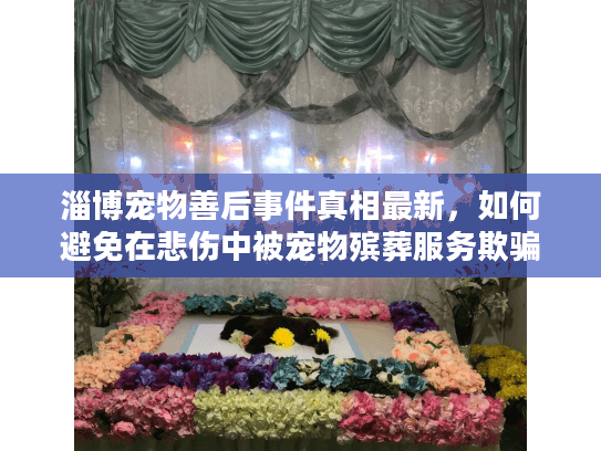 淄博宠物善后事件真相最新，如何避免在悲伤中被宠物殡葬服务欺骗？