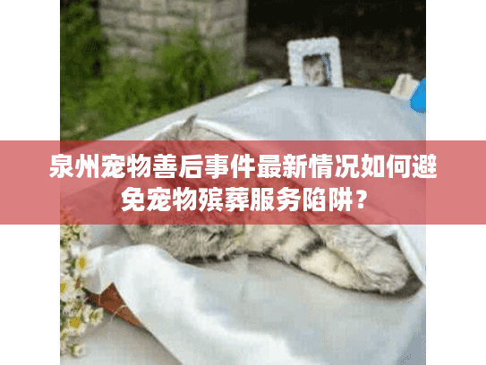 泉州宠物善后事件最新情况如何避免宠物殡葬服务陷阱？