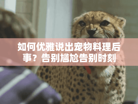 如何优雅说出宠物料理后事?告别尴尬告别时刻 如何优雅说出宠物料理后事?告别尴尬告别时刻