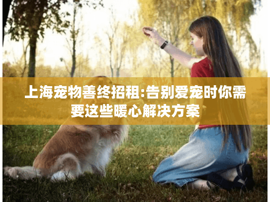 上海宠物善终招租:告别爱宠时你需要这些暖心解决方案