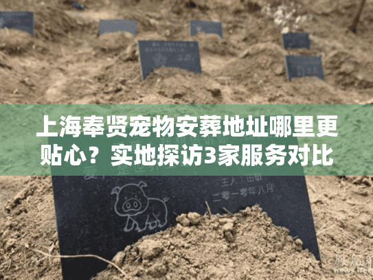 上海奉贤宠物安葬地址哪里更贴心？实地探访3家服务对比