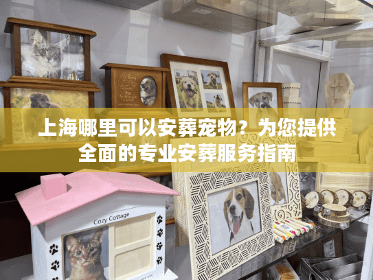 上海哪里可以安葬宠物？为您提供全面的专业安葬服务指南