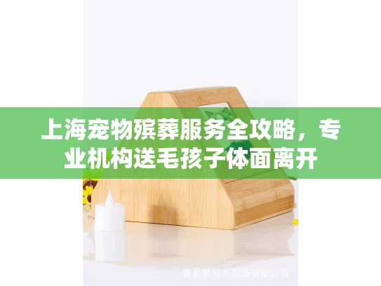 上海宠物殡葬服务全攻略，专业机构送毛孩子体面离开