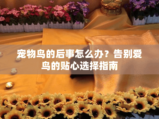 宠物鸟的后事怎么办？告别爱鸟的贴心选择指南