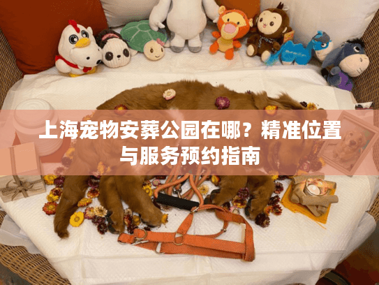 上海宠物安葬公园在哪？精准位置与服务预约指南
