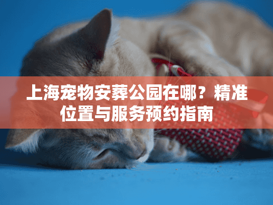 上海宠物安葬公园在哪？精准位置与服务预约指南