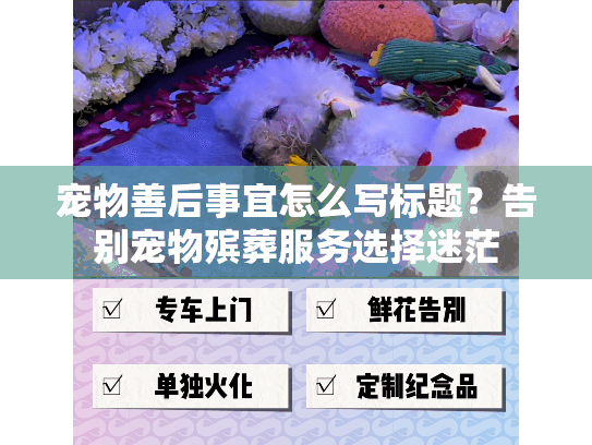 宠物善后事宜怎么写标题？告别宠物殡葬服务选择迷茫
