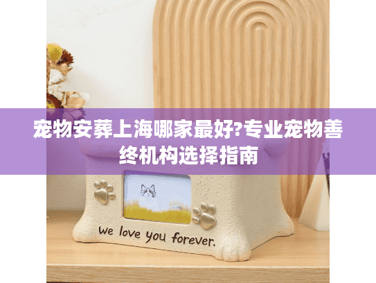 宠物安葬上海哪家最好?专业宠物善终机构选择指南