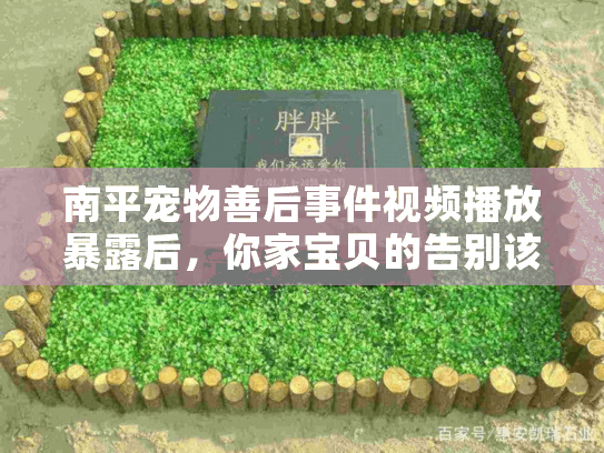 南平宠物善后事件视频播放暴露后,你家宝贝的告别该如何不被坑? 南平宠物善后事件视频播放暴露后,你家宝贝的告别该如何不被坑?
