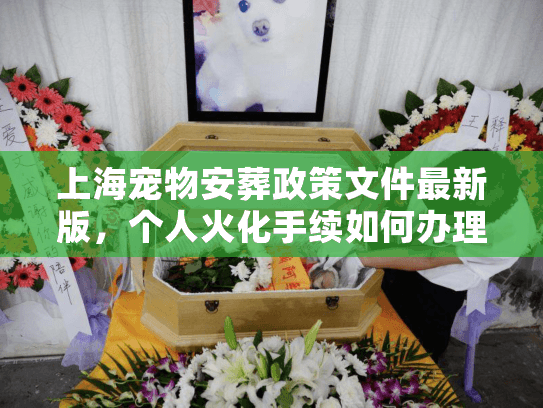 上海宠物安葬政策文件最新版，个人火化手续如何办理？