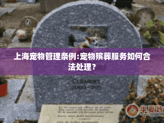 上海宠物管理条例:宠物殡葬服务如何合法处理？