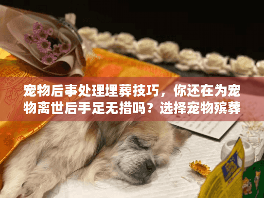 宠物后事处理埋葬技巧，你还在为宠物离世后手足无措吗？选择宠物殡葬服务的关键指南