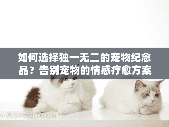 如何选择独一无二的宠物纪念品？告别宠物的情感疗愈方案