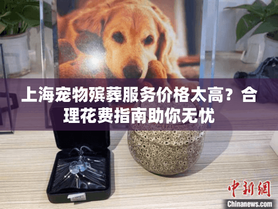 上海宠物殡葬服务价格太高？合理花费指南助你无忧