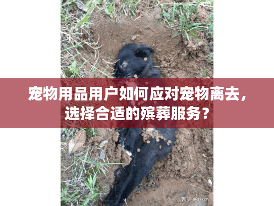 宠物用品用户如何应对宠物离去,选择合适的殡葬服务? 宠物用品用户如何应对宠物离去,选择合适的殡葬服务?