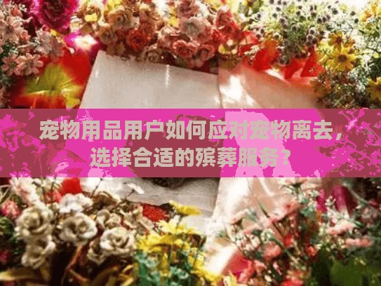宠物用品用户如何应对宠物离去,选择合适的殡葬服务? 宠物用品用户如何应对宠物离去,选择合适的殡葬服务?