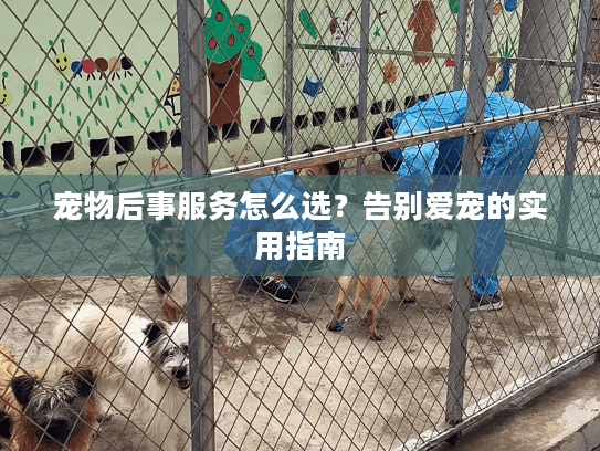 宠物后事服务怎么选图片