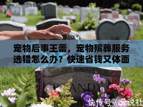 宠物后事王蕾，宠物殡葬服务选错怎么办？快速省钱又体面的秘诀！