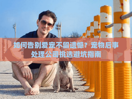 如何告别爱宠不留遗憾？宠物后事处理公司挑选避坑指南