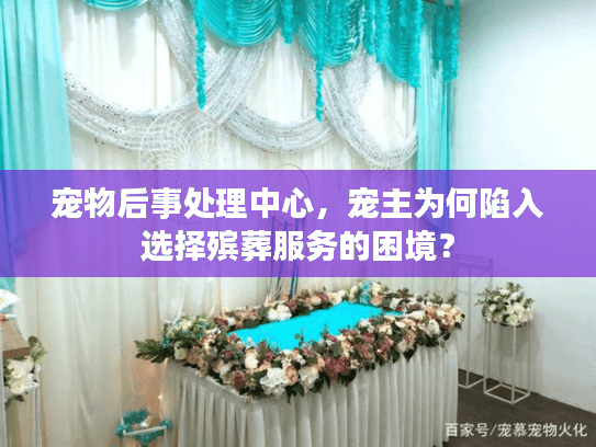 宠物后事处理中心，宠主为何陷入选择殡葬服务的困境？