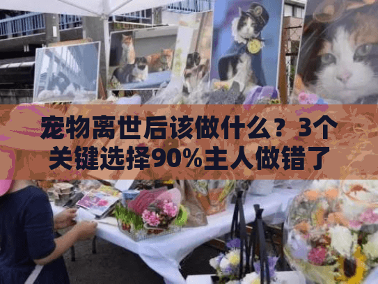 宠物离世后该做什么？3个关键选择90%主人做错了