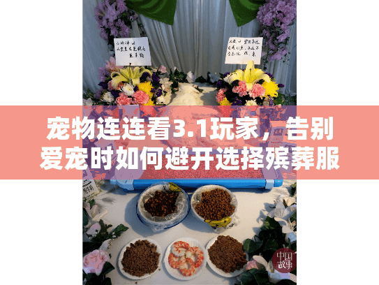 宠物连连看3.1玩家，告别爱宠时如何避开选择殡葬服务陷阱？