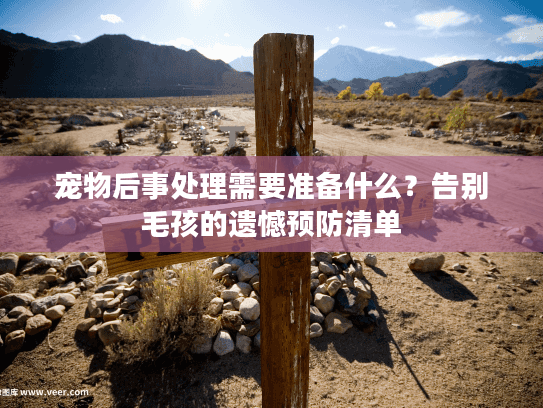 宠物后事处理需要准备什么？告别毛孩的遗憾预防清单