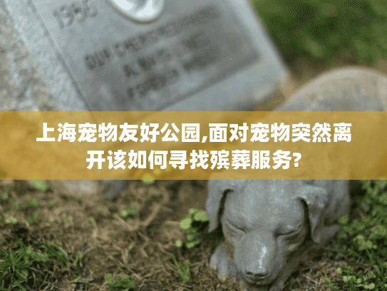上海宠物友好公园,面对宠物突然离开该如何寻找殡葬服务?